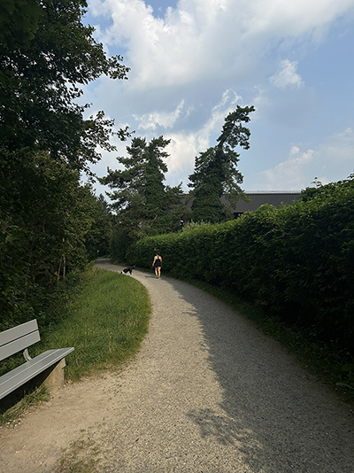 Fussweg entlang der Eulach nach Wülflingen